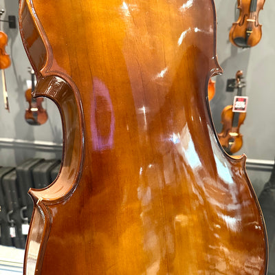 Strumenti a Corde: 205, 1/2 Cello, anno 2018