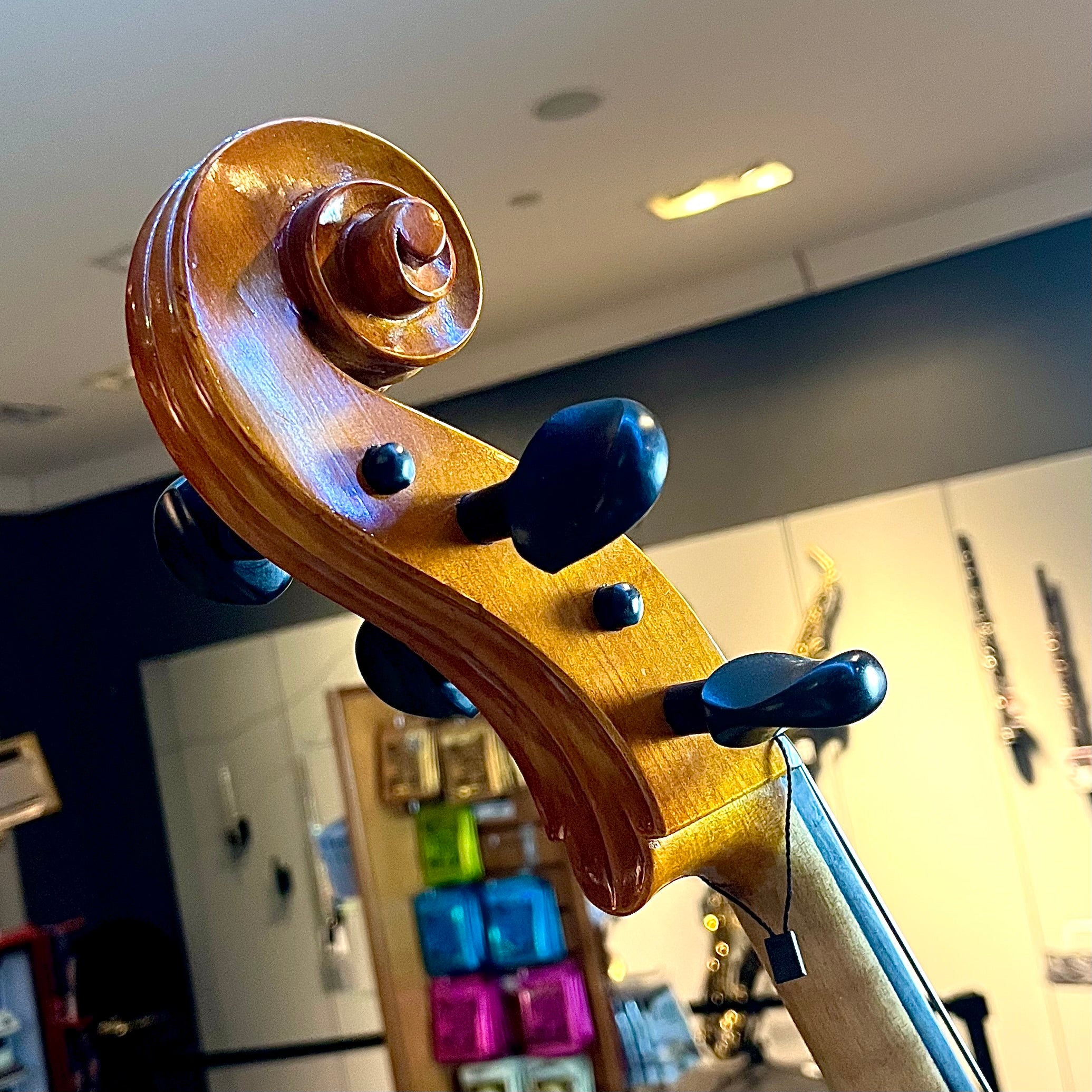 Segue: Concertino, 1/2 Cello, anno 2012