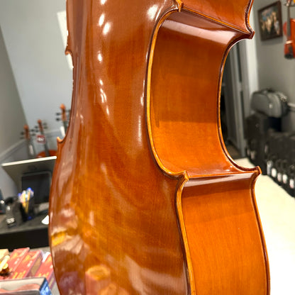 Eastman VC100: Student Cello - 4/4