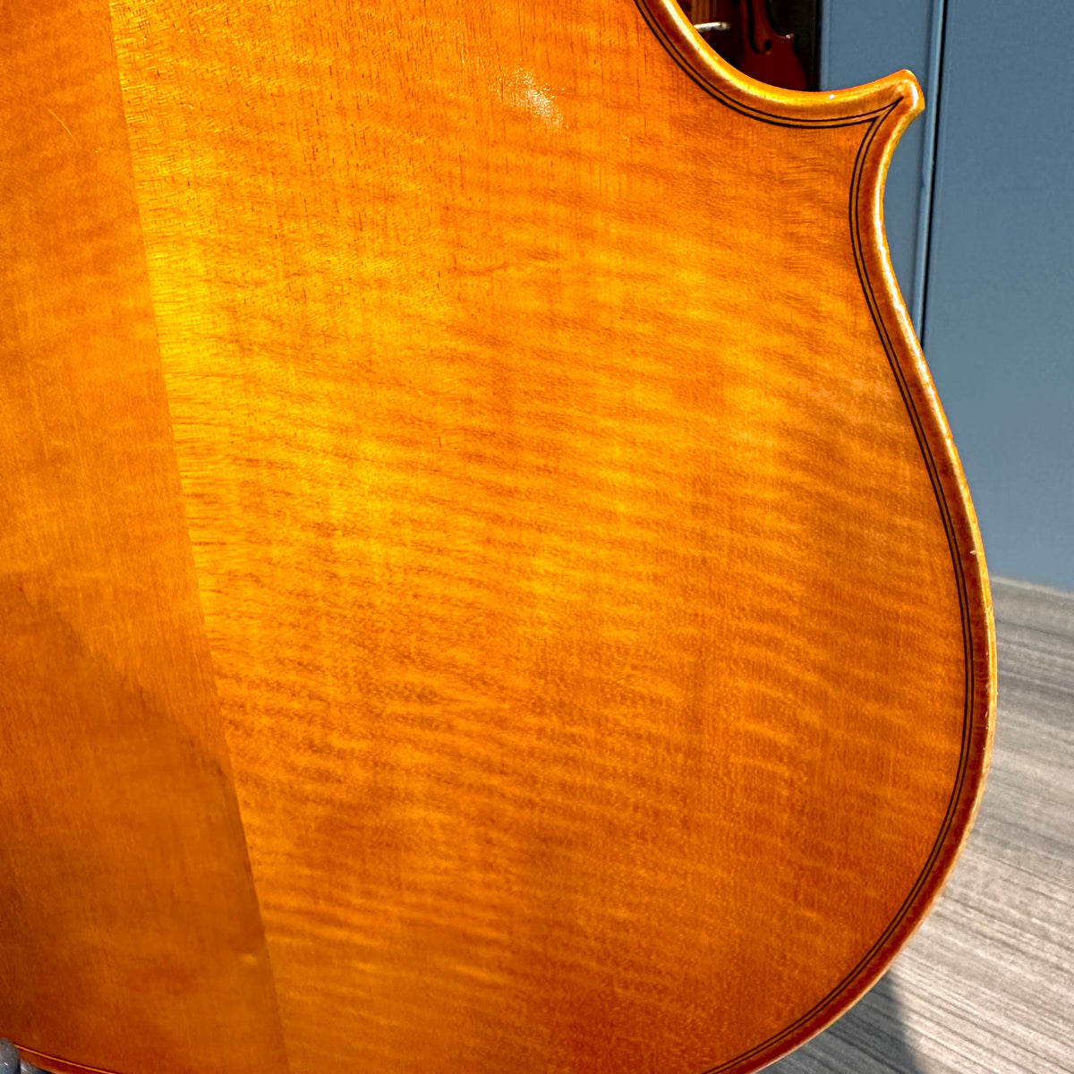 Segue: Concertino Plus, 1/2 Cello, anno 2016