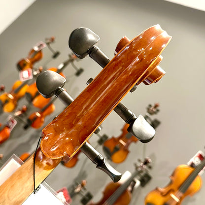Eastman VC100: Student Cello - 4/4
