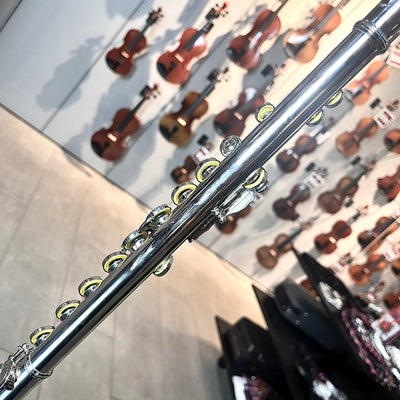 Hod Beginner: Student Flute, Ecomonical
