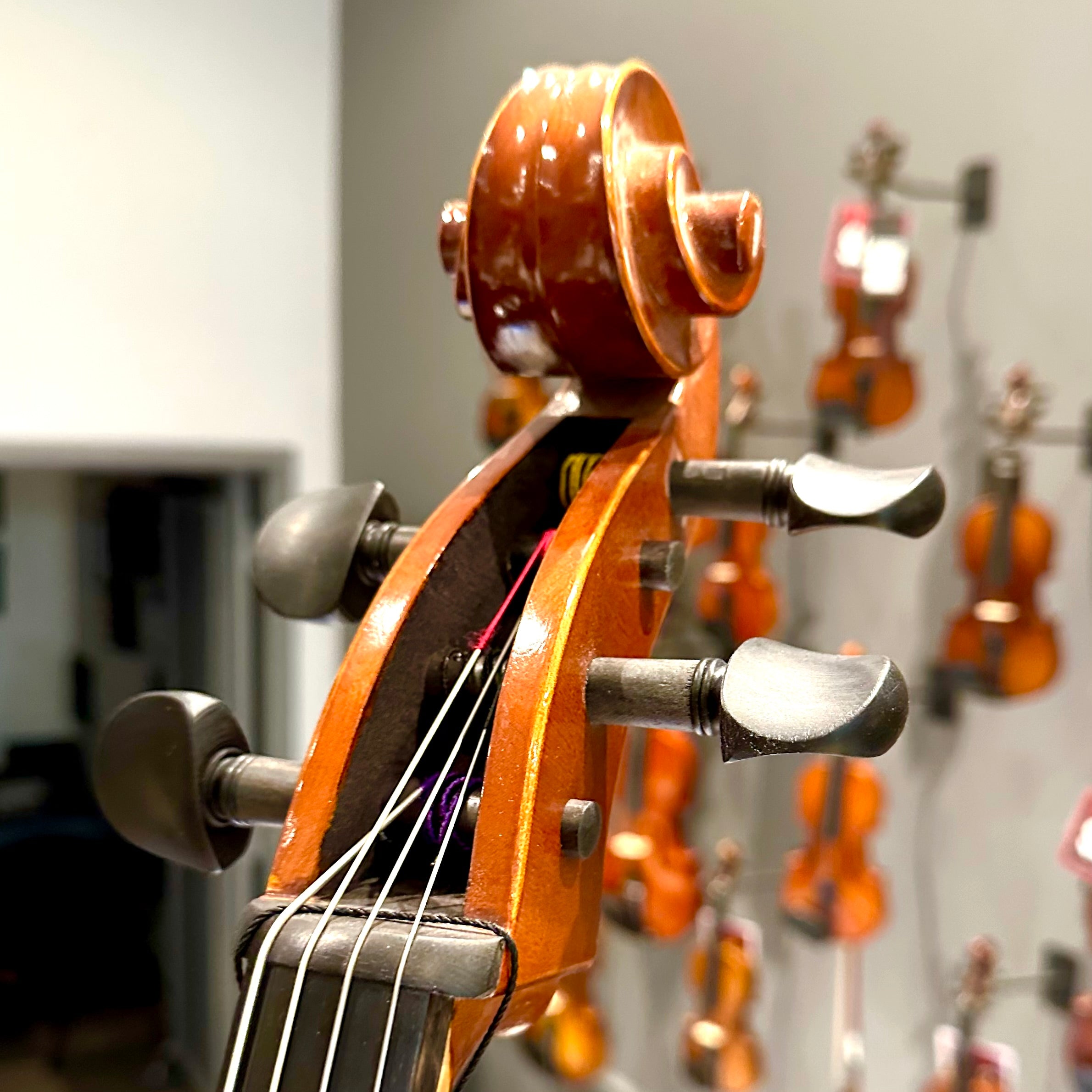 Eastman VC100: Student Cello - 4/4