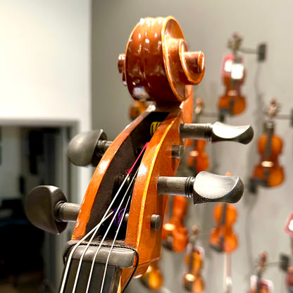 Eastman VC100: Student Cello - 4/4