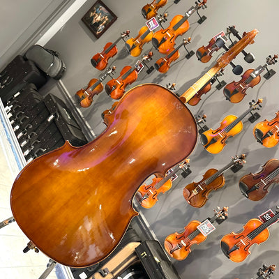 Strumenti a Corde: 205, 1/2 Cello, anno 2018