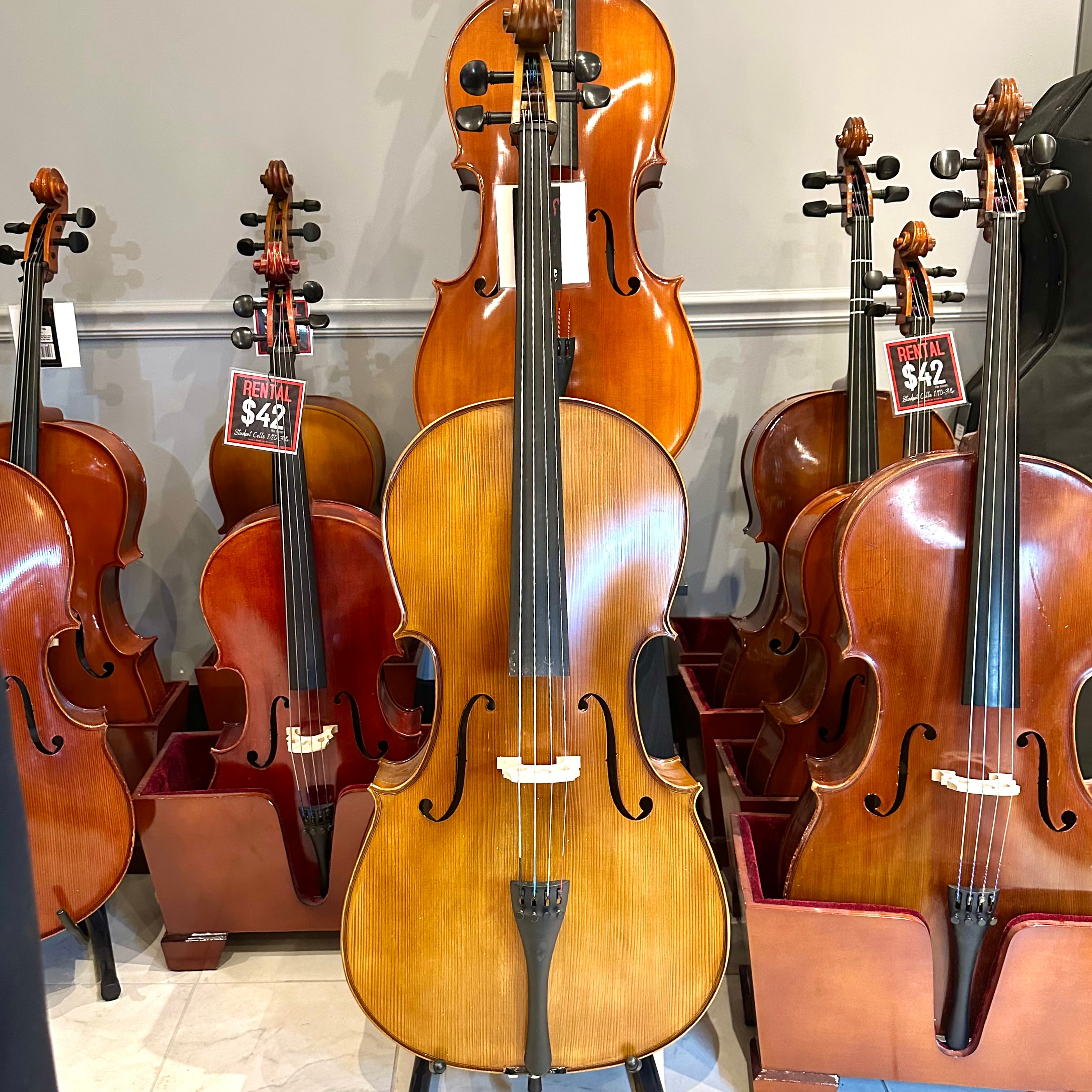 Strumenti a Corde 205-10: Student Cello, Solid, Matte, 4/4