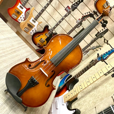Strumenti a corde: 2100 - Student Violin, Hand Carved, Glossy