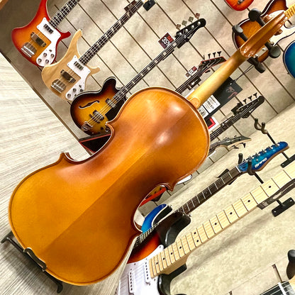 Strumenti a corde: 3000 - Student Violin, Hand Carved, JuJu Wood Parts