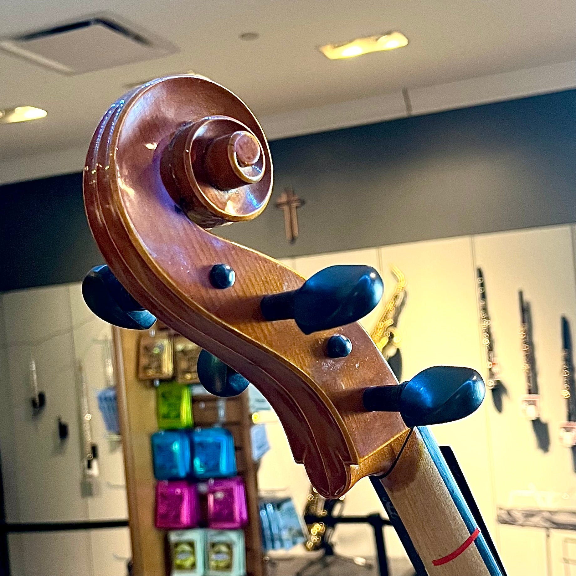 Segue: Concertino Plus, 1/2 Cello, anno 2016