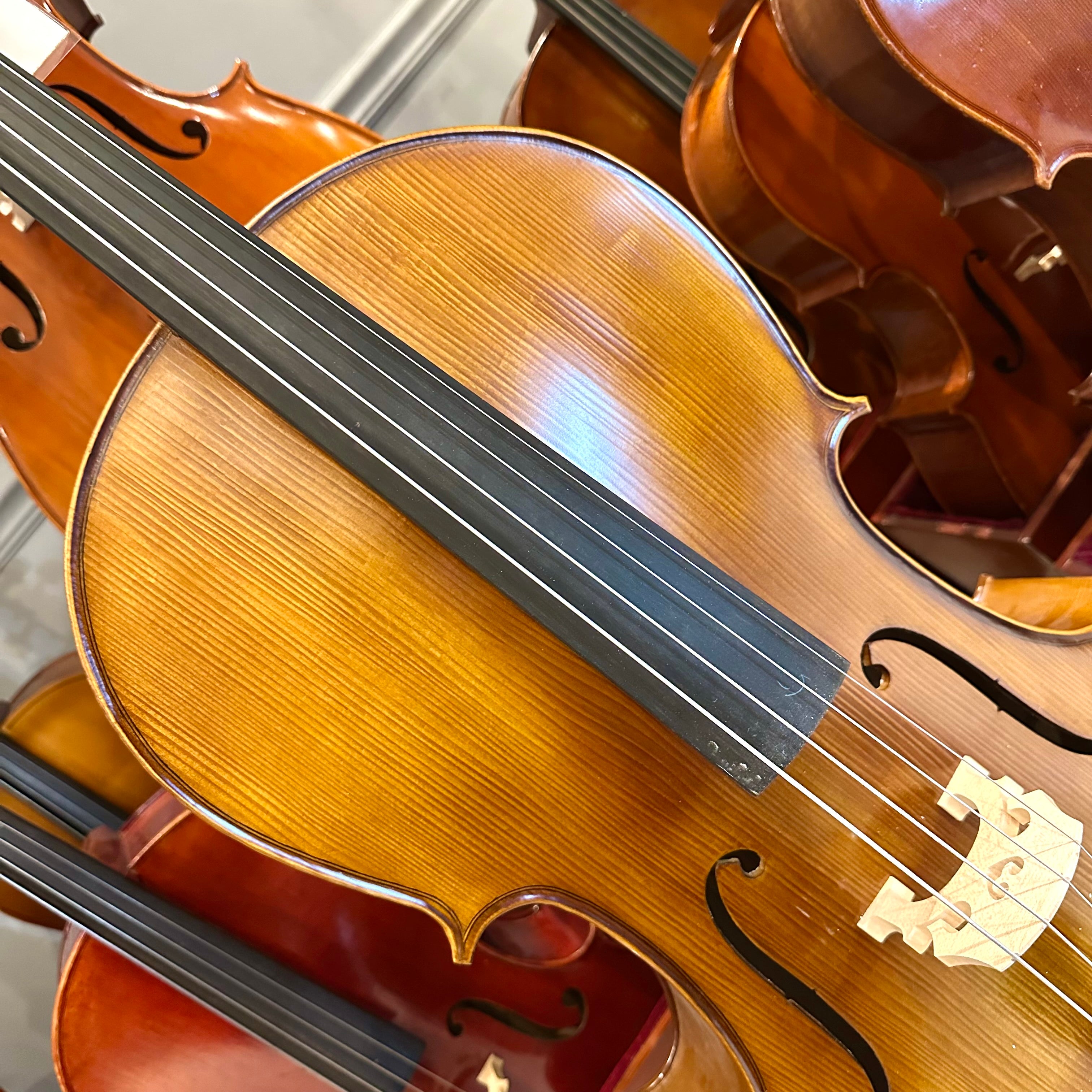 Strumenti a Corde 205-10: Student Cello, Solid, Matte, 4/4