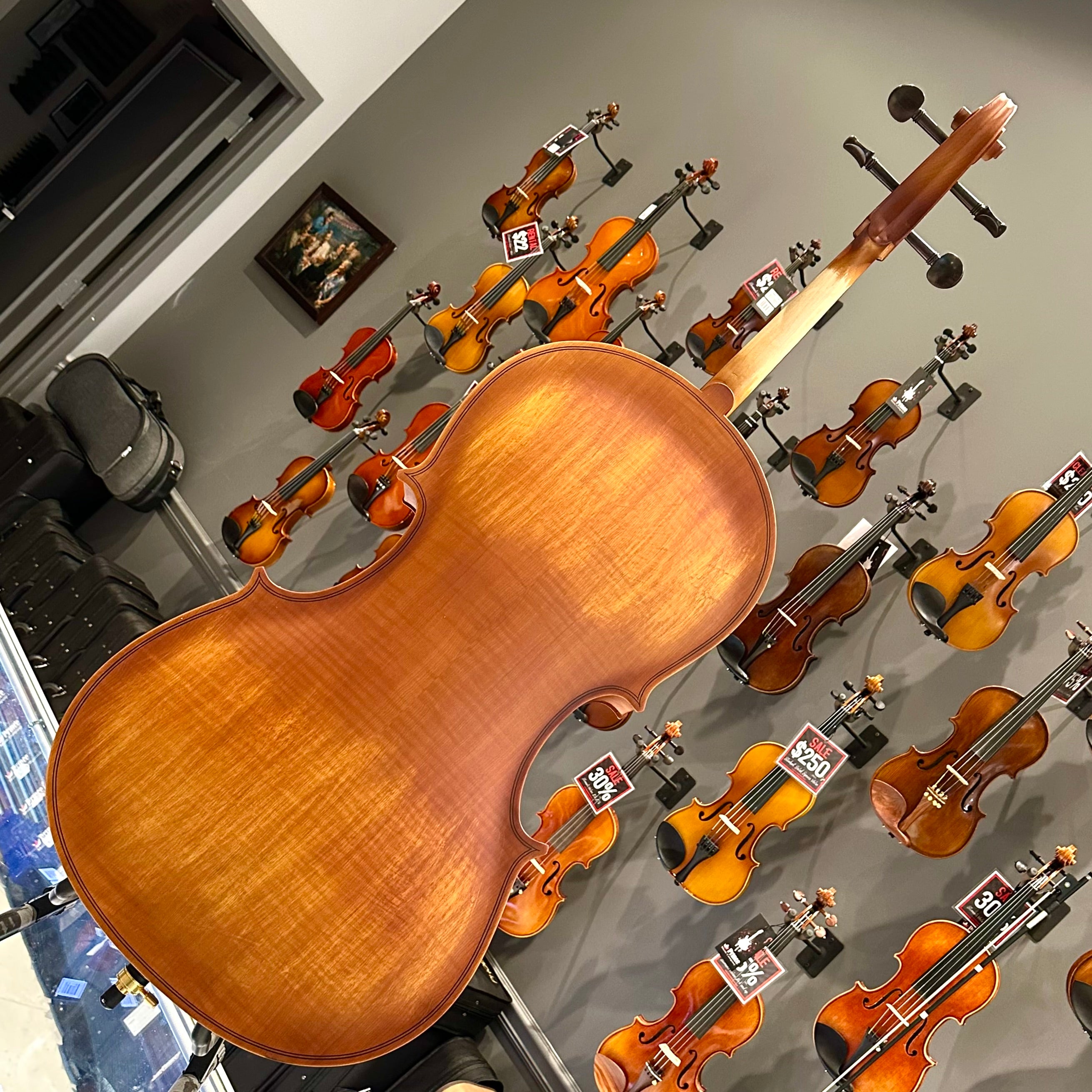 Strumenti a Corde 107: Student Cello, Solid Spruce Top, Matte Finish - 4/4