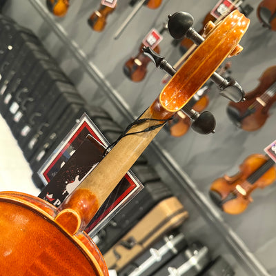 Strumenti a Corde 6100: Intermediate Violin