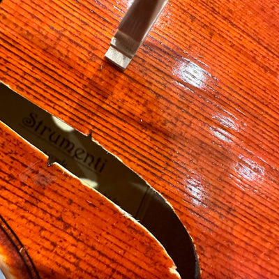 Strumenti a Corde 6100: Intermediate Violin