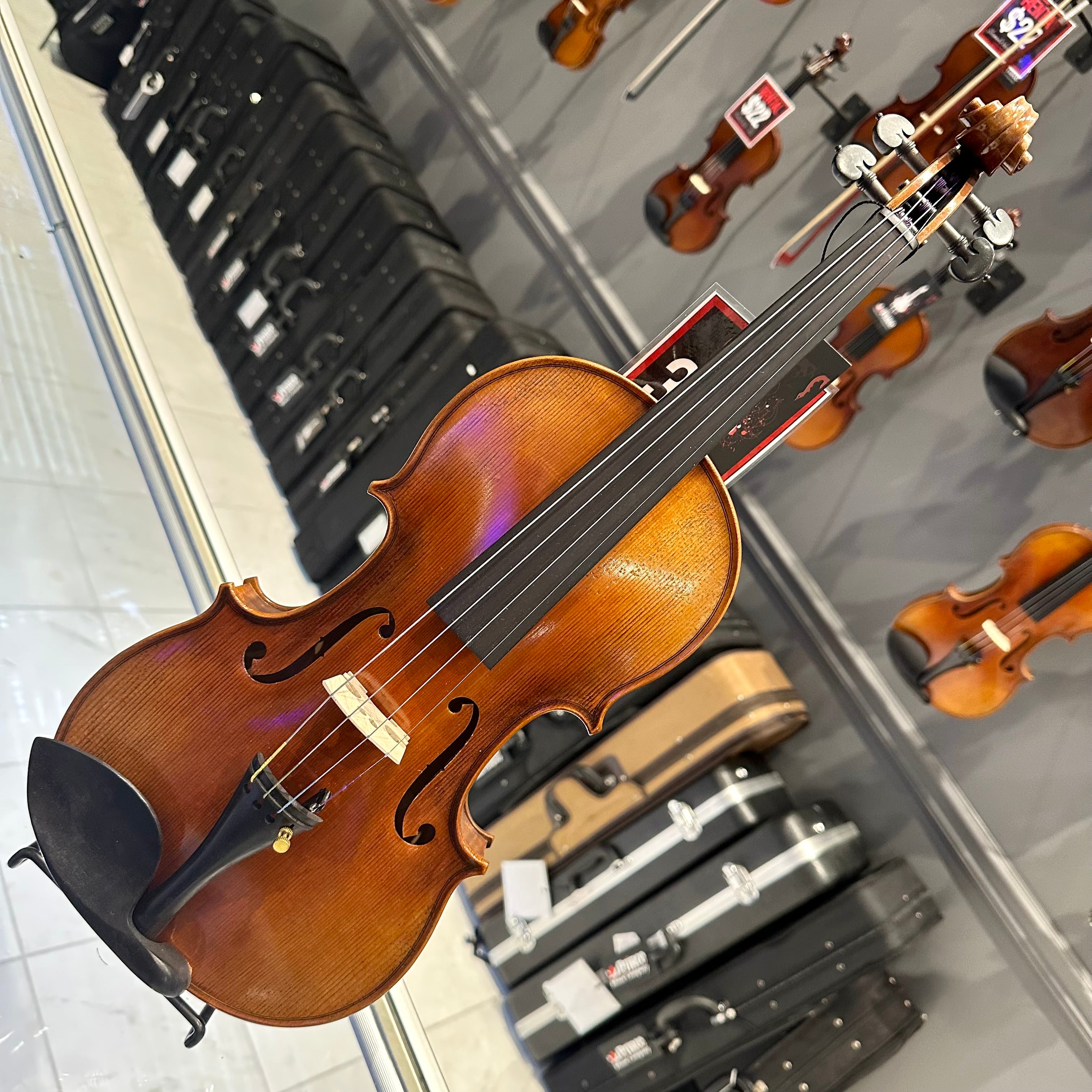 Strumenti a Corde 6200: Intermediate Violin
