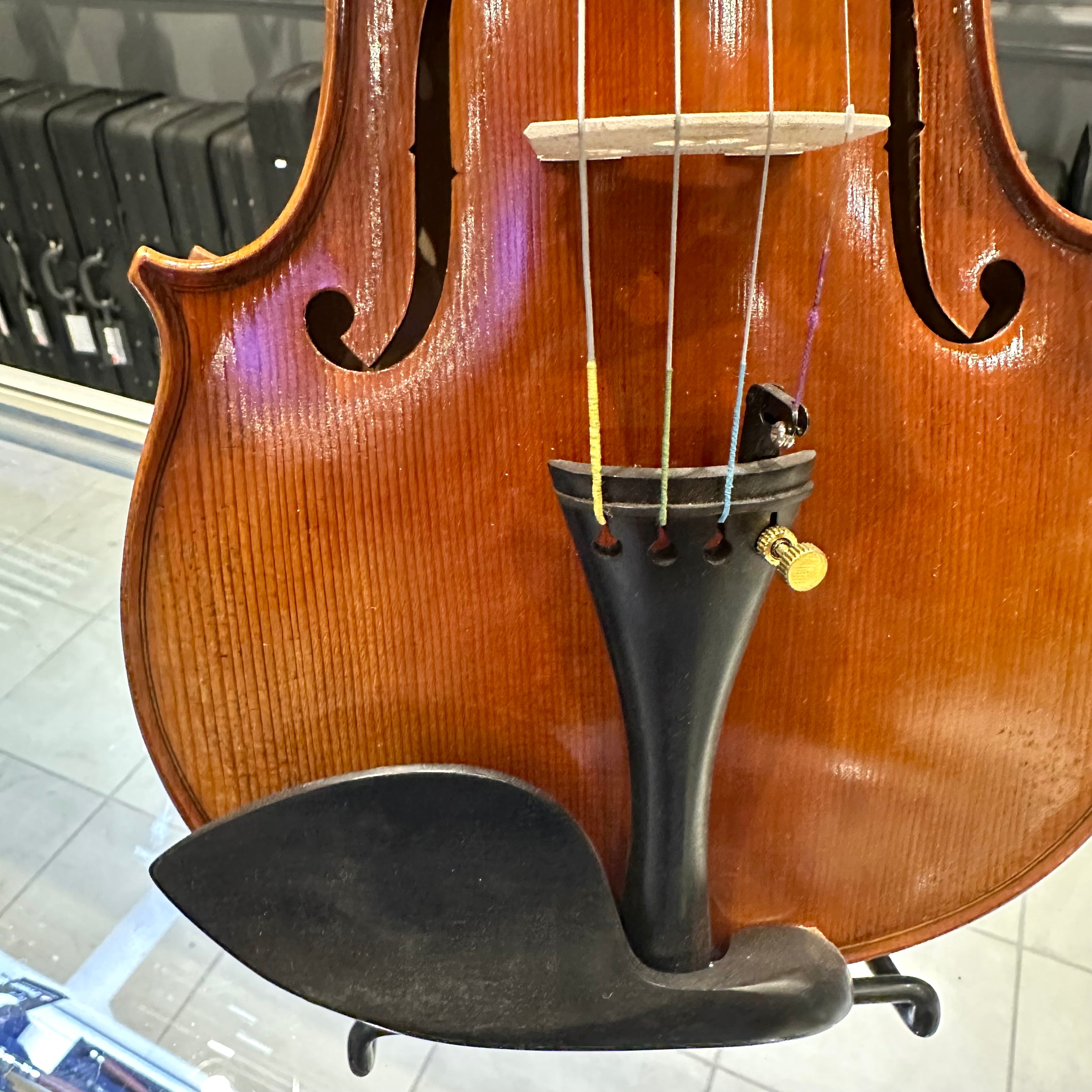 Strumenti a Corde 6200: Intermediate Violin