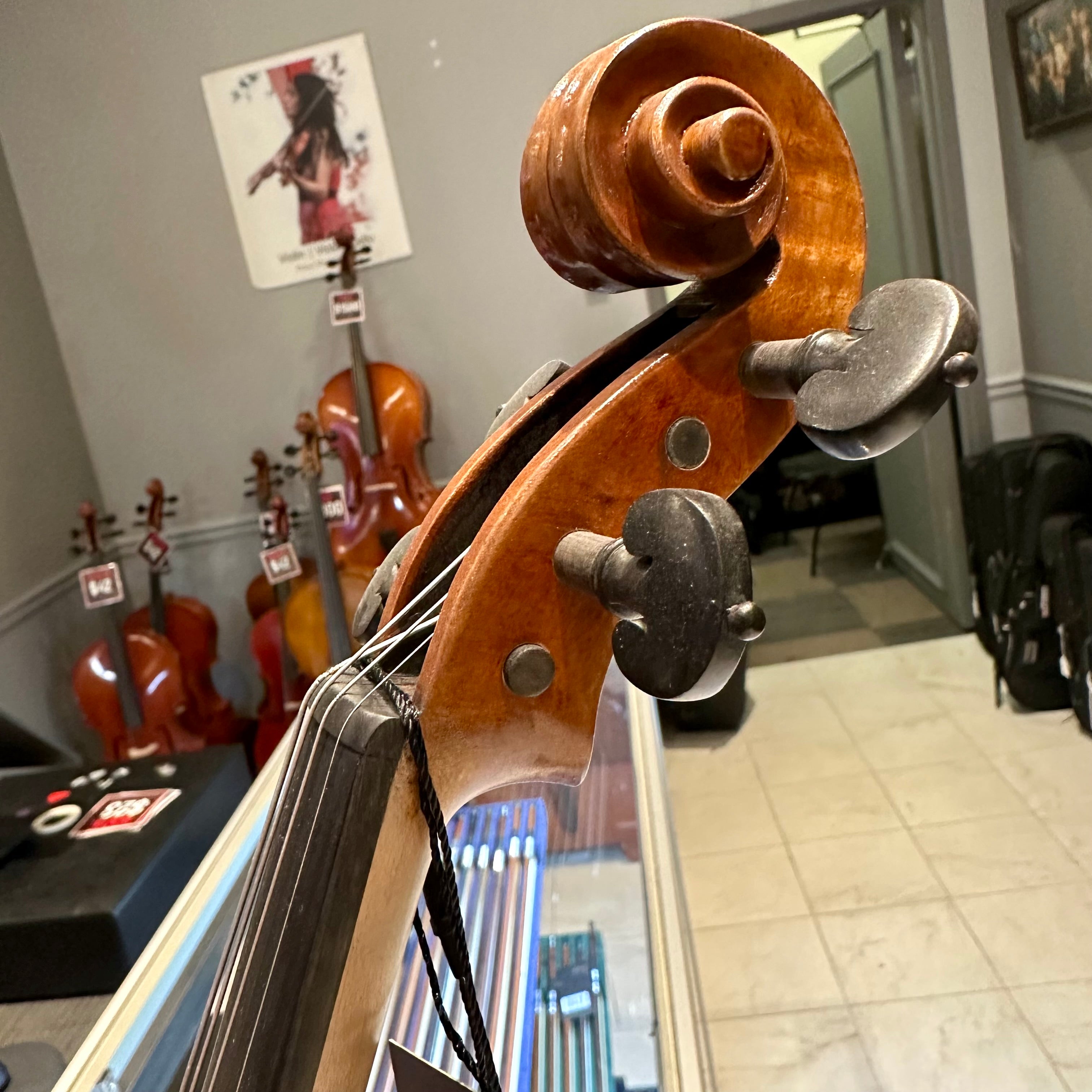 Strumenti a Corde 6200: Intermediate Violin
