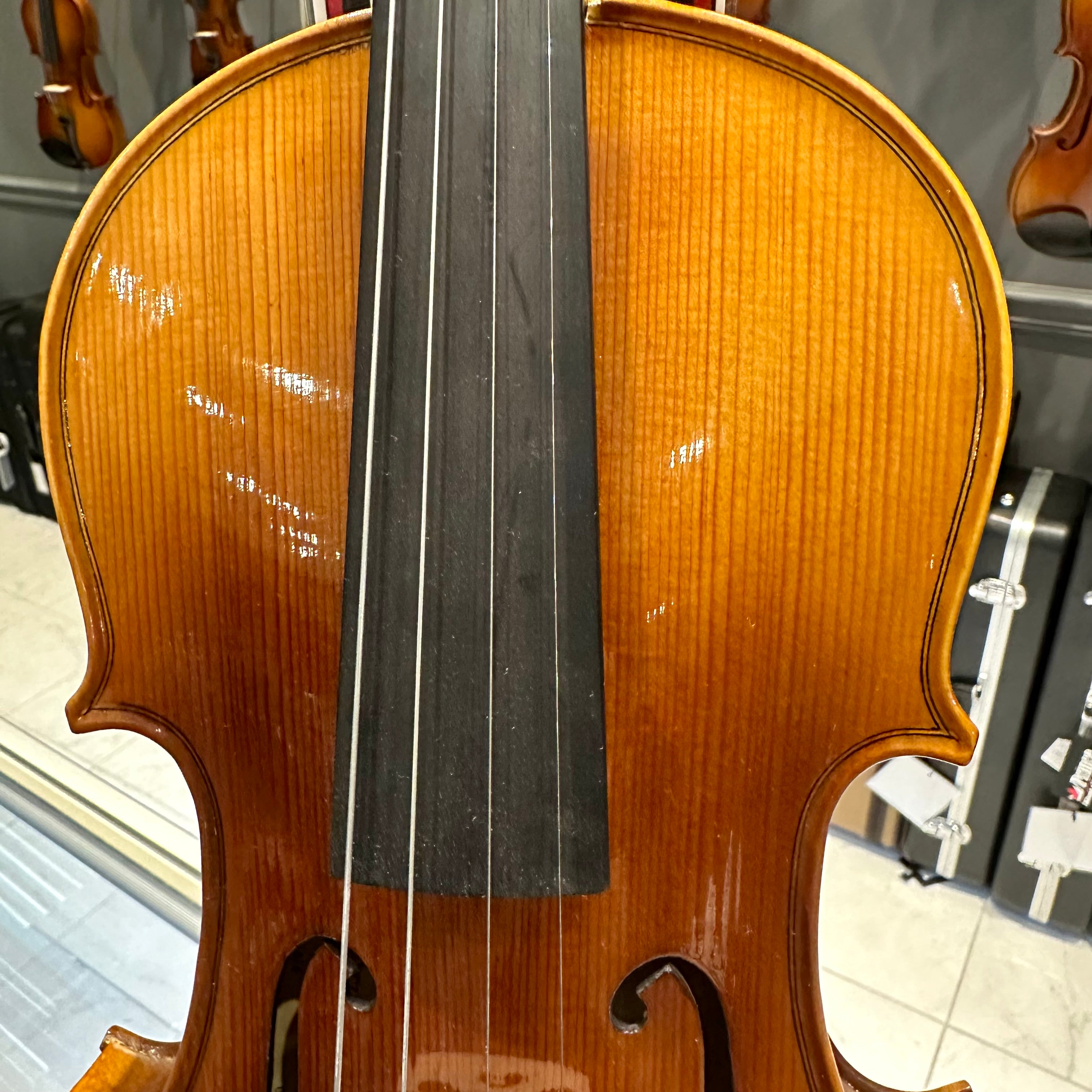 Strumenti a Corde 4500: Student Violin, Style A - 4/4