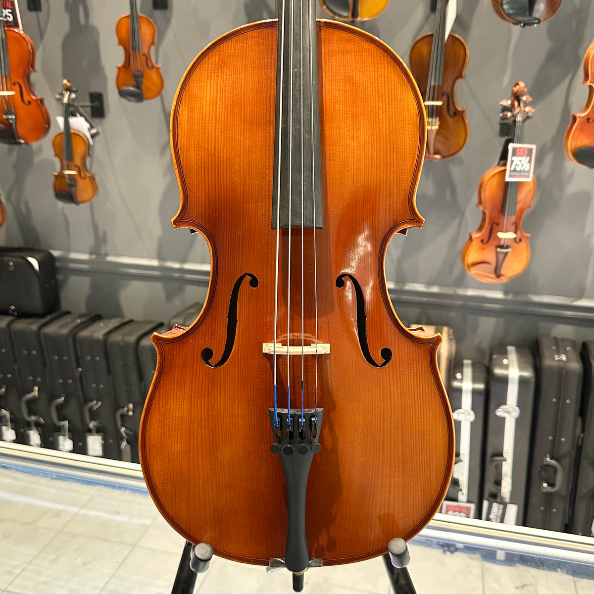 Samuel Eastman: VC100, 1/8 Cello - anno 2017