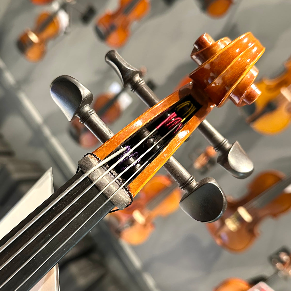 Samuel Eastman: VC100, 1/8 Cello - anno 2017