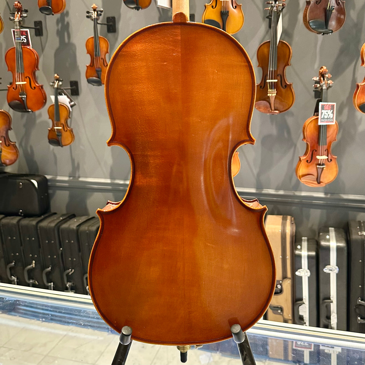 Samuel Eastman: VC100, 1/8 Cello - anno 2017