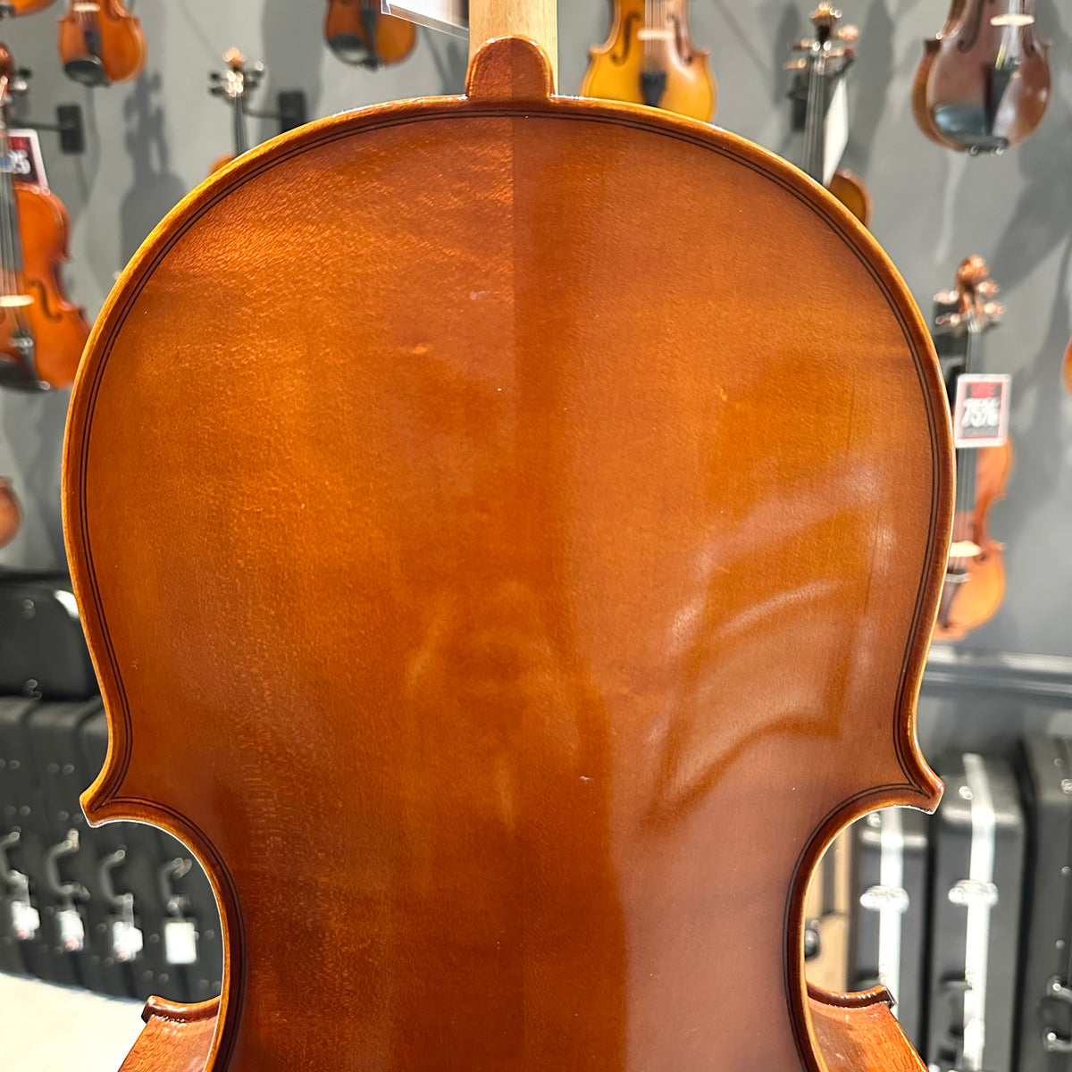 Samuel Eastman: VC100, 1/8 Cello - anno 2017