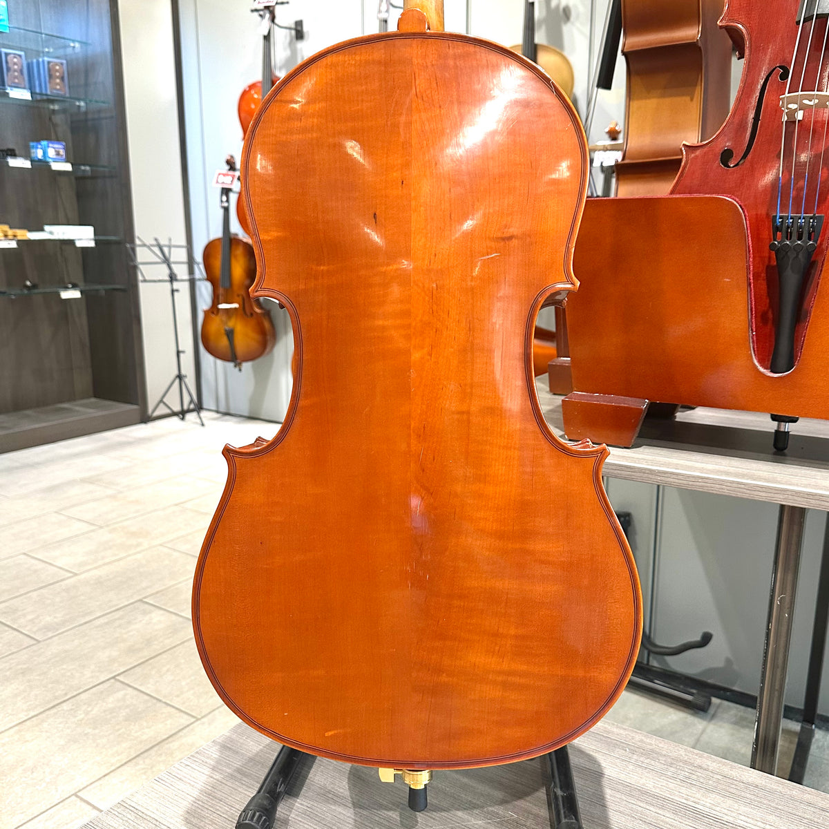 Segue Concertino: From Quinn Violins, Solid Wood - 1/4 Size