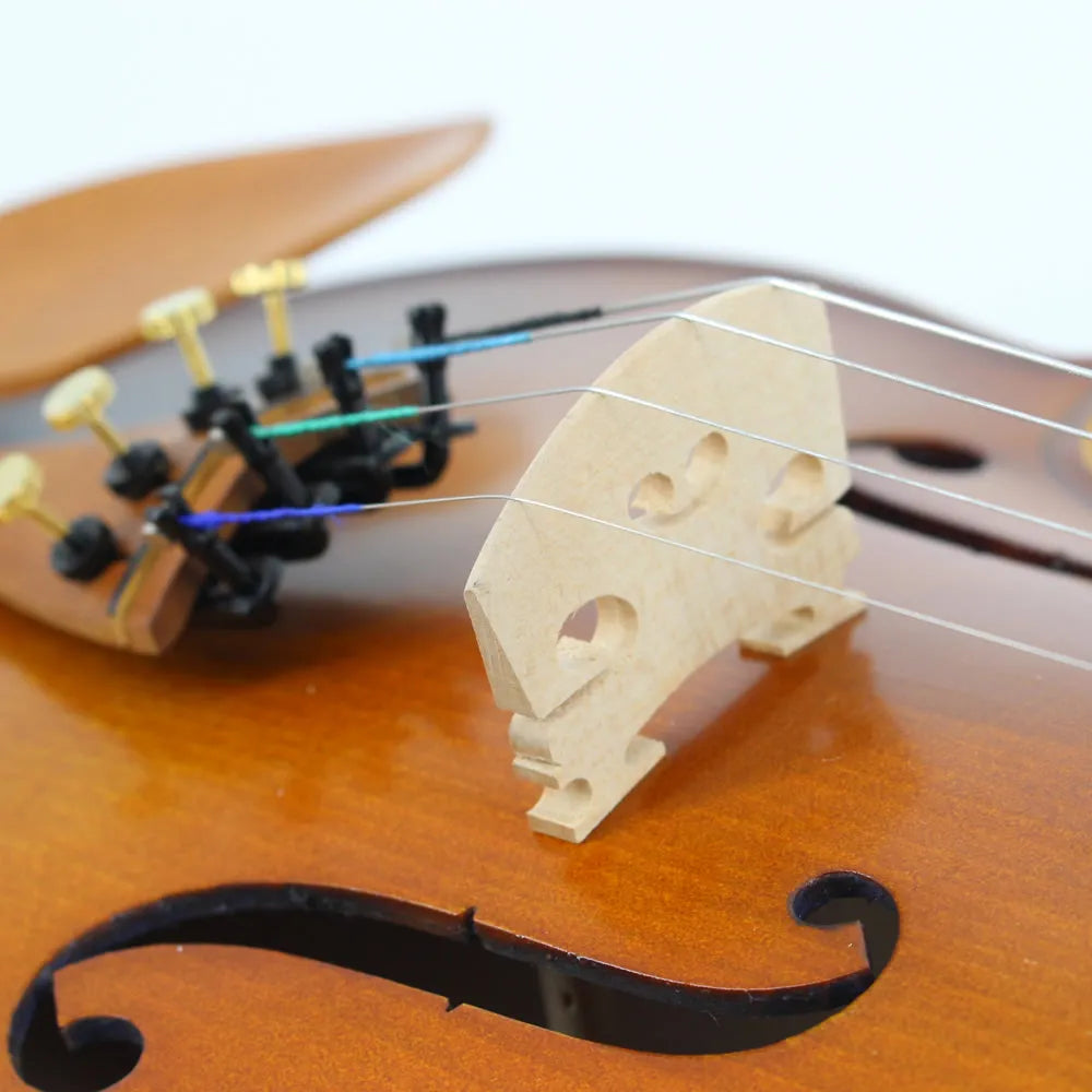 Strumenti a corde: 3000 - Student Violin, Hand Carved, JuJu Wood Parts