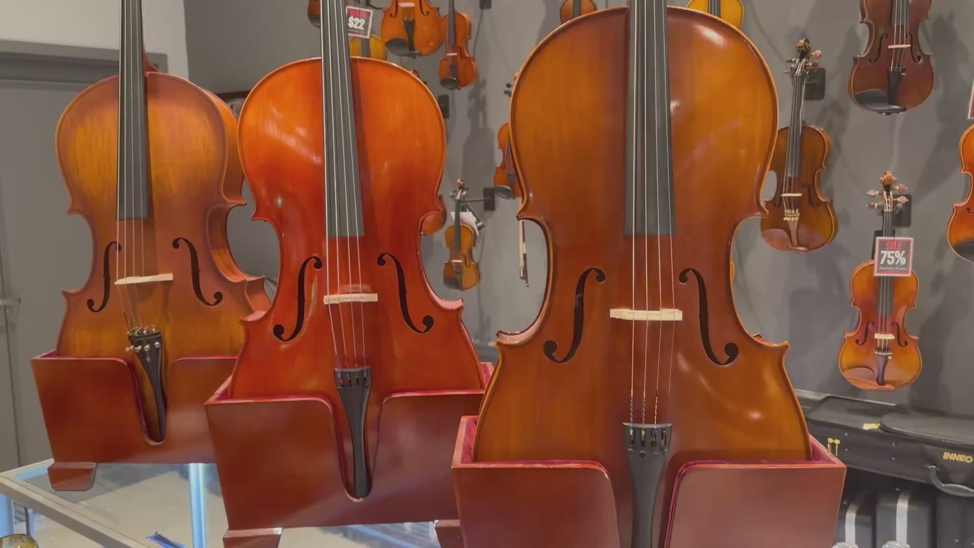 Eastman VC100: Student Cello - 4/4 – Prince Music Company